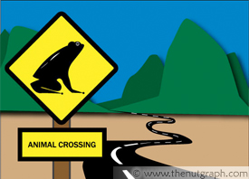roadsign of frog, with 'animal crossing' descriptor underneath