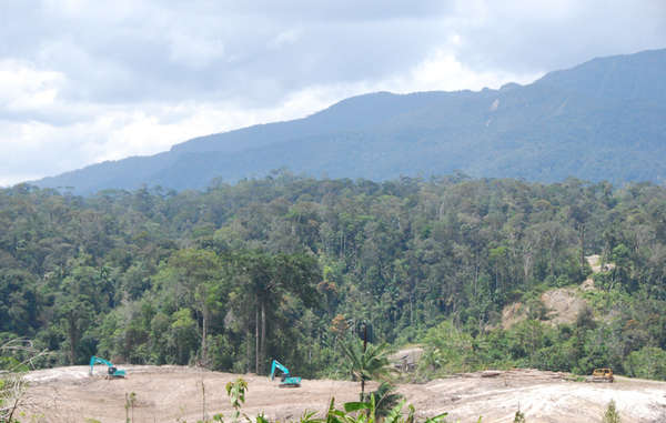 Bulldozers clear land for oil palms, Metalon, Sarawak.