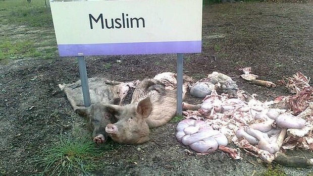 http://images.watoday.com.au/2013/07/16/4573953/pigs-muslim-cemetery-729-620x349.jpg