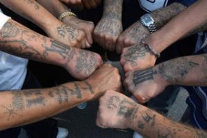 Gang members arms
