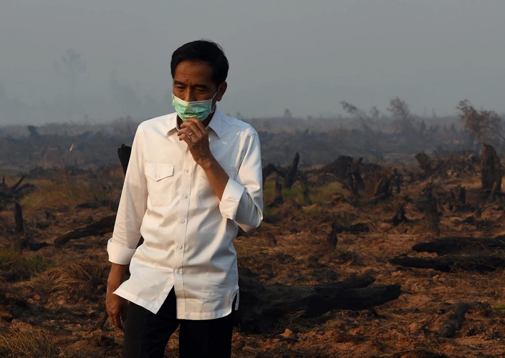 Jokowi embarrassed by haze situation affecting ...