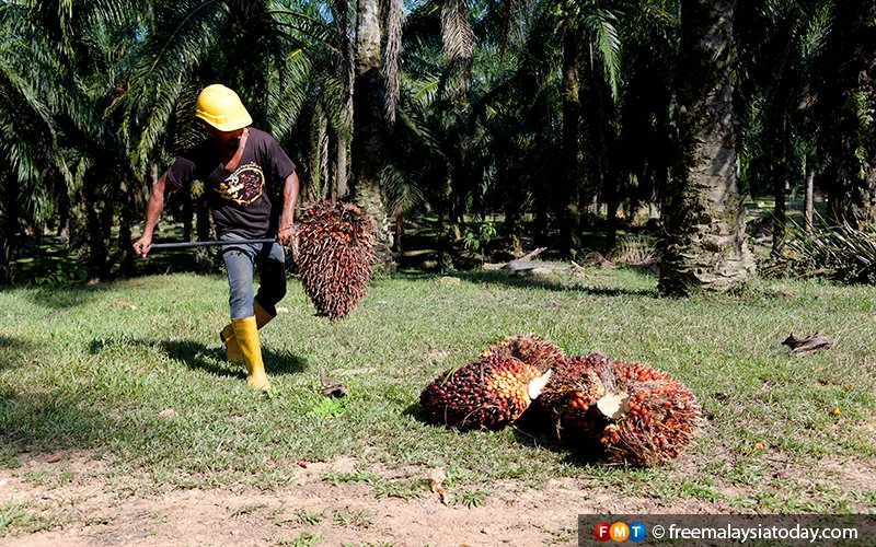 Govt waives RM8.3 billion Felda settlers’ loans - Malaysia Today