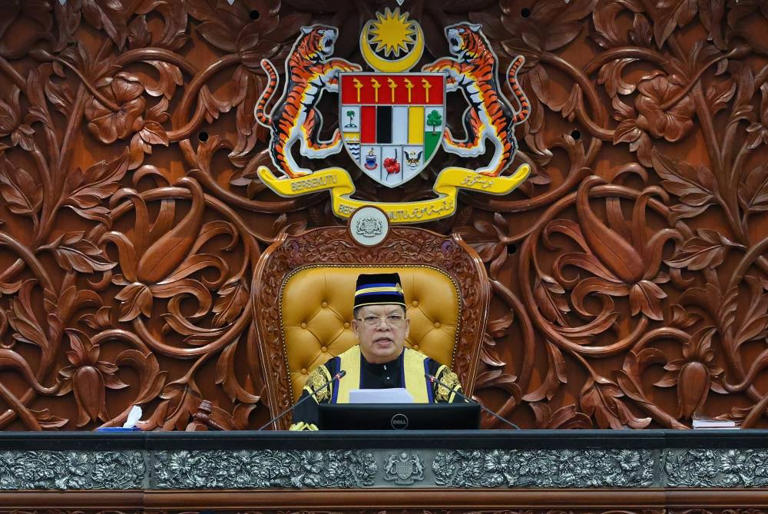 Leading By Example Parliament Website Shows Dewan Speaker Appointed His Son As Special 6747