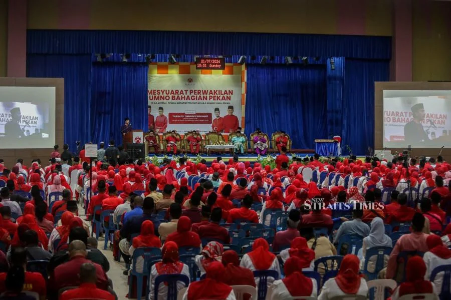 Pekan Umno wants party leaders to strive hard to obtain justice for ...